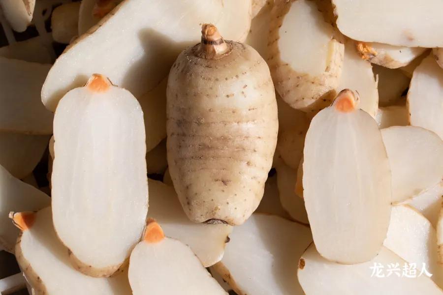 贵州的道地药材天麻,天麻属于哪里的道地药材