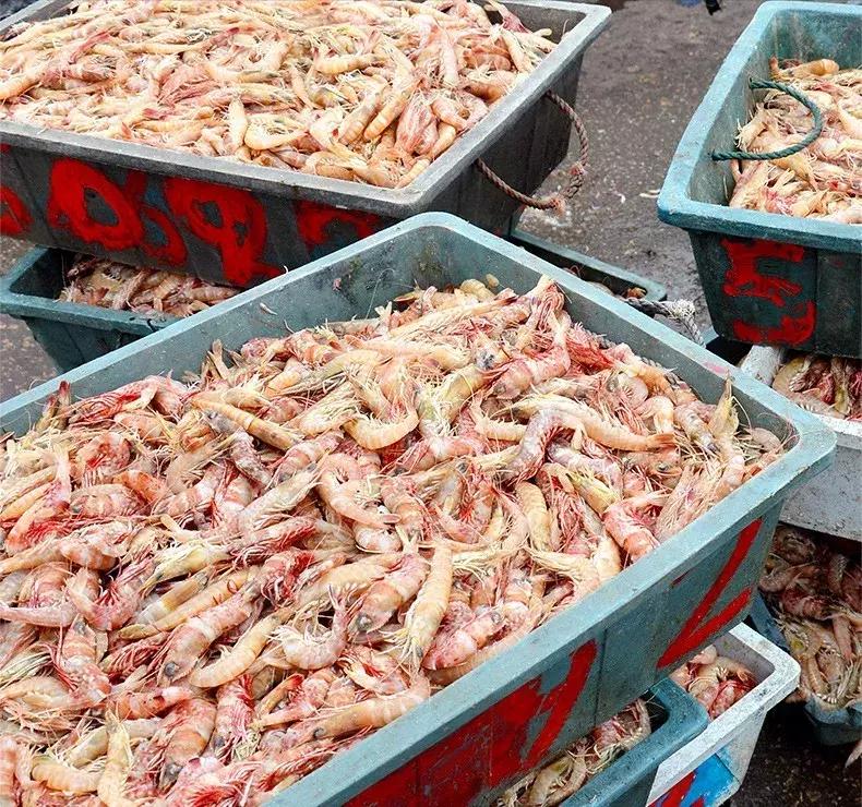 鱼丸里没鱼？虾丸里没虾？蟹丸里没蟹？