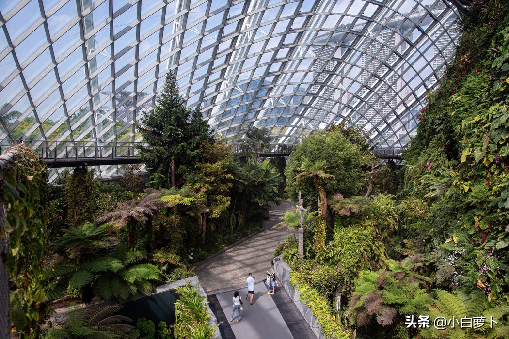 如何足不出户游全国,足不出户旅行全世界