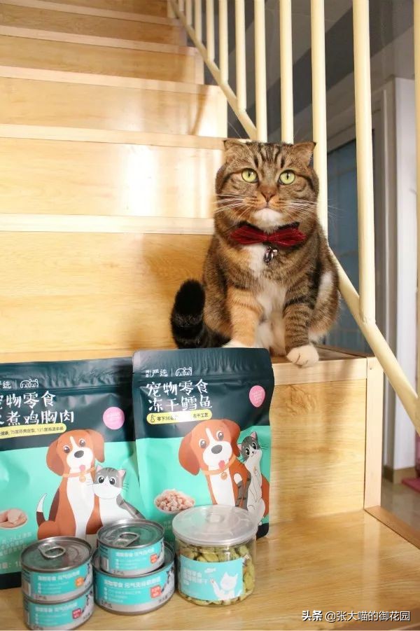网易严选猫罐头试吃,猫咪零食罐头网易严选