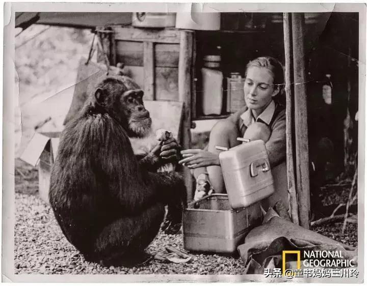 如何圆梦、创造奇迹?看了这6部高分人物传记纪录片,娃有了答案