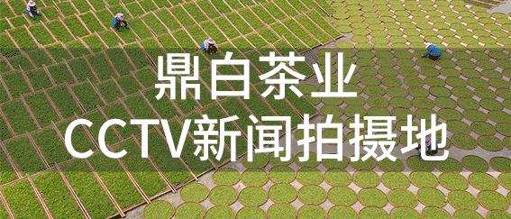 浠巆ctv1鍒癱ctv15,浠巆ctv9鍒癱ctv1