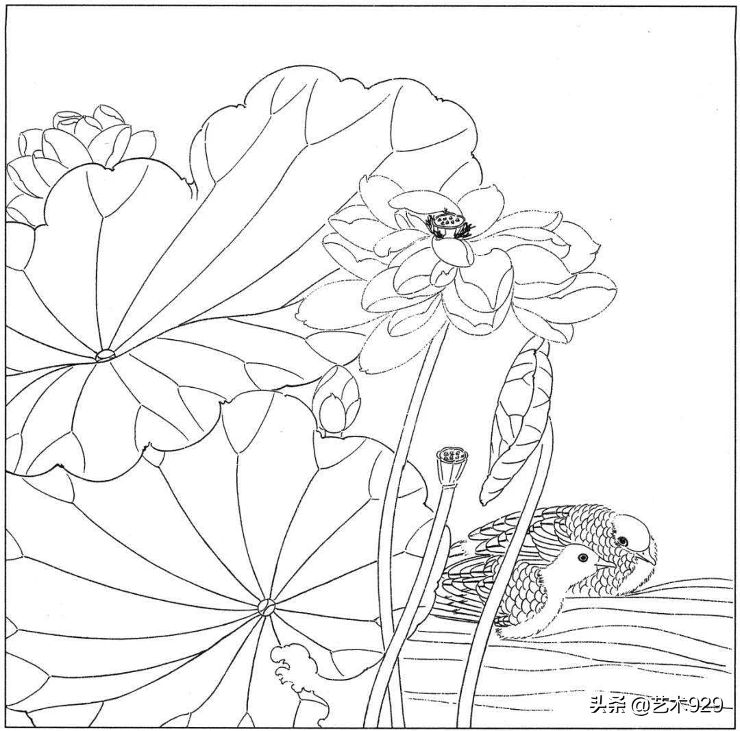 余稚荷花蜻蜓图高清白描底稿,白描荷花勾线方法讲解视频