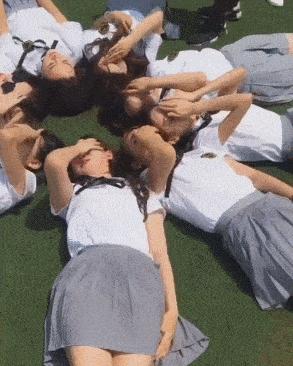 这只鹦鹉一直以为他是一只猴,所以每天都在重复做这个动作