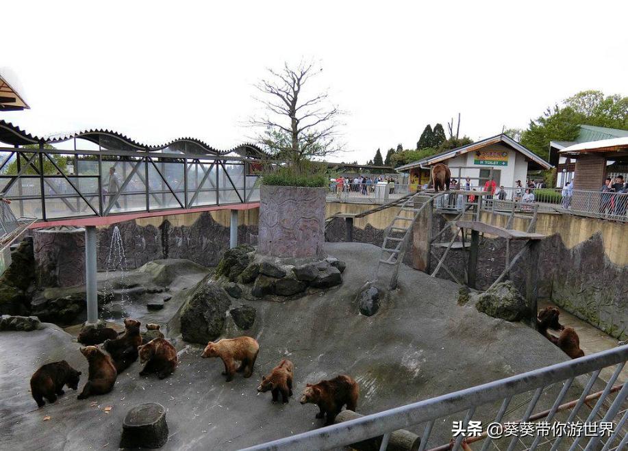 葵葵点评完整视频,葵葵点评日本冲绳岛