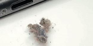 你的手机干净么,手机脏了正确清理方法