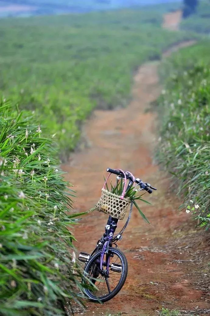距海南20km有片处女地，比台湾风情比三亚便宜，路过都错过了