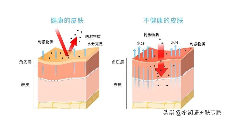 水初语莹莹老师是真的吗,水初语护肤导师莹莹老师是真的吗