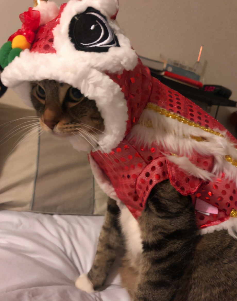 中国尿盆在美国高价热卖!放红酒当果盘,外国人这么好骗吗哈哈哈