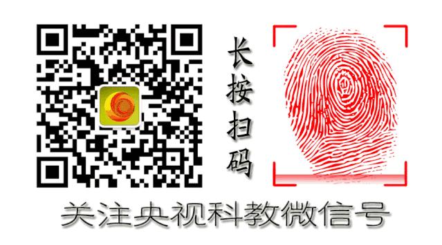 降火明目护肝组合茶,护肝明目降火