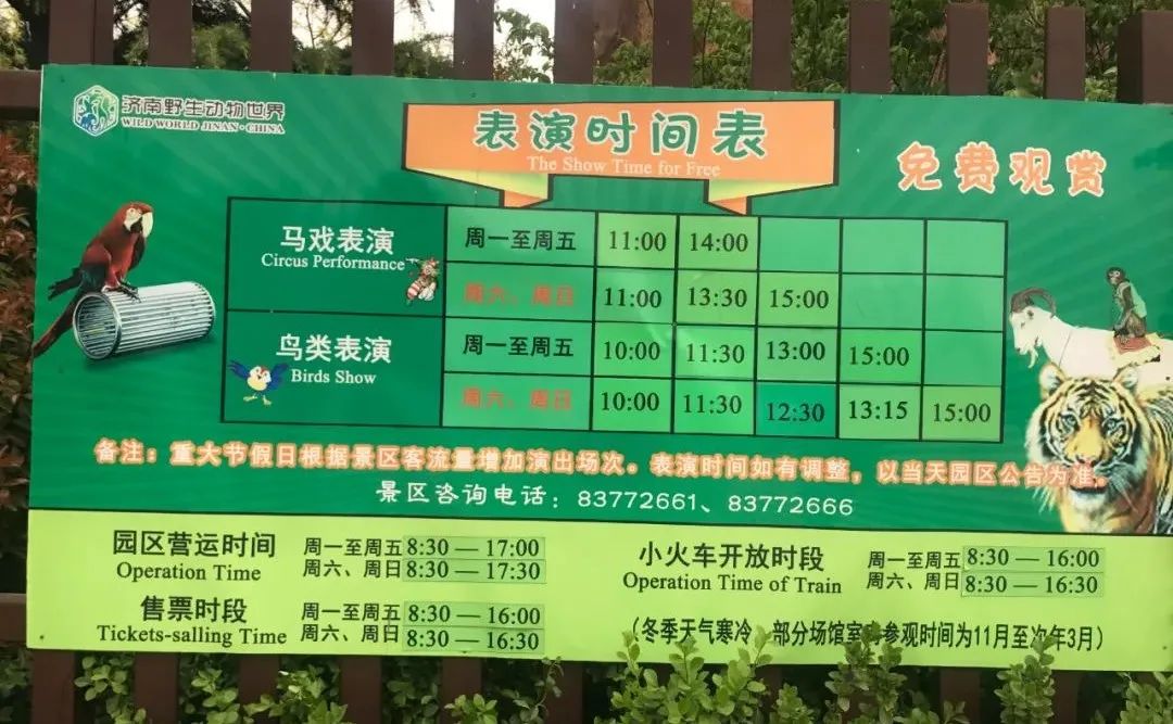 济南动物王国一日游详细攻略,济南一日游动物园