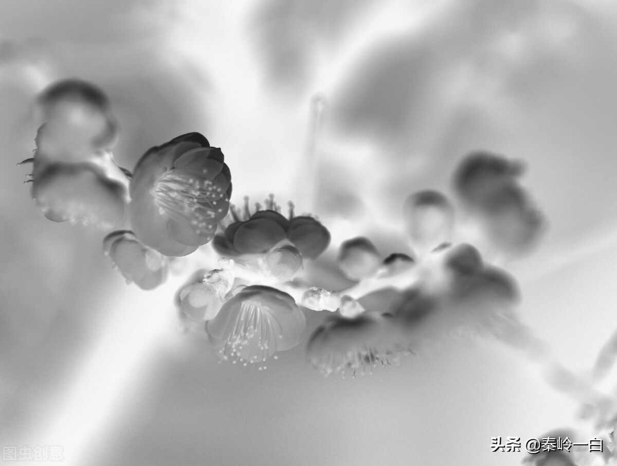 王冕是元朝末年的著名诗人与画家,元朝著名画家王冕的书画作品欣赏