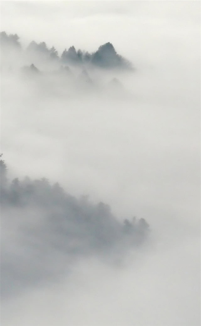 缓解眼睛疲劳壁纸颜色,缓解眼睛疲劳的壁纸高清