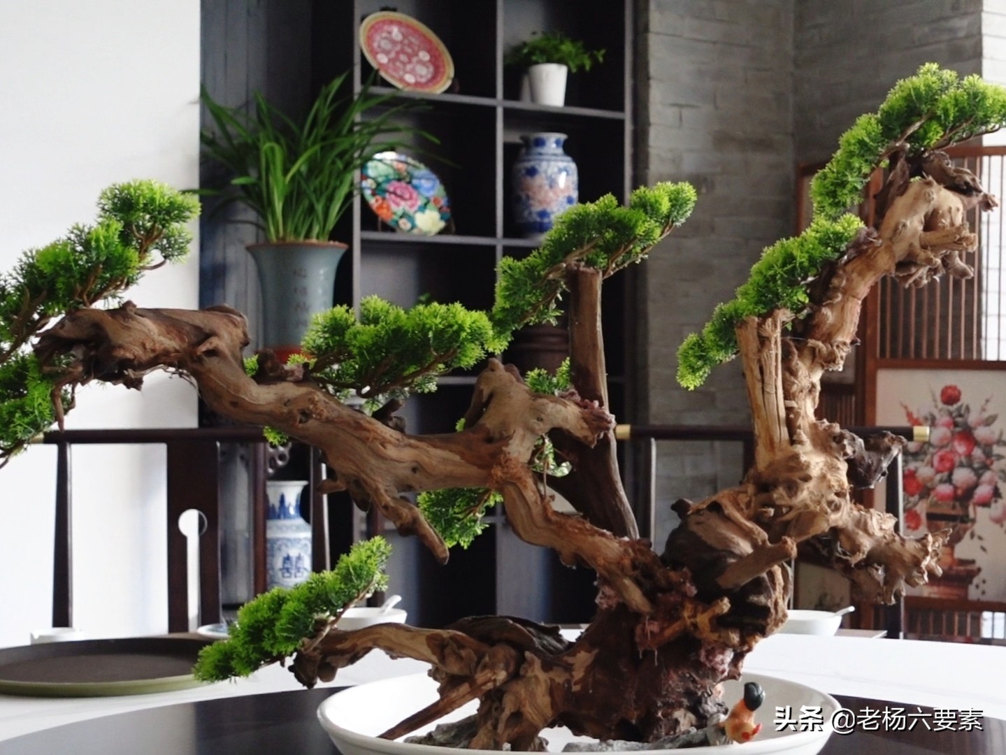 兰州地方菜推荐探店,兰州本地人常去的老菜馆