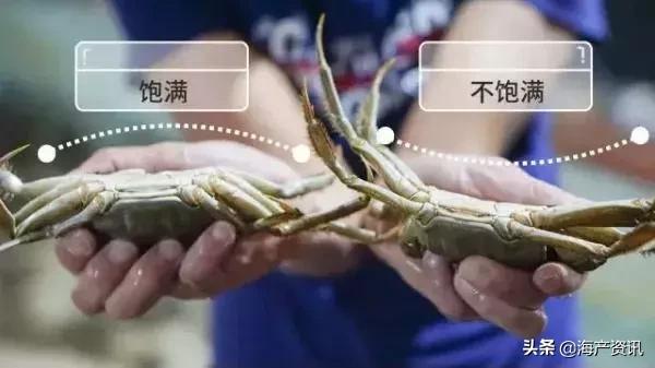 大闸蟹怎么吃才是最正确的,大闸蟹的正确吃法你知道吗