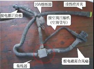 农村夏天卖什么好挣钱,在农村夏天做什么生意能挣钱