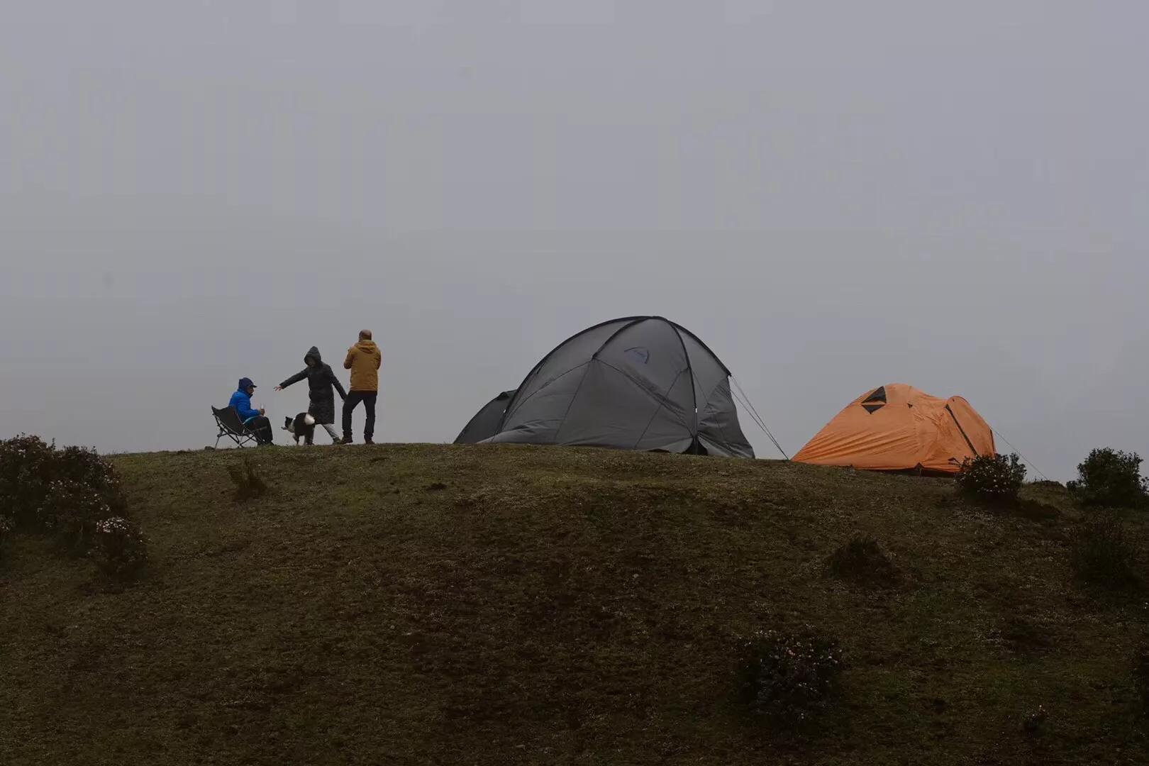 乌蒙大草原高山矮杜鹃,盘州市乌蒙大草原高山