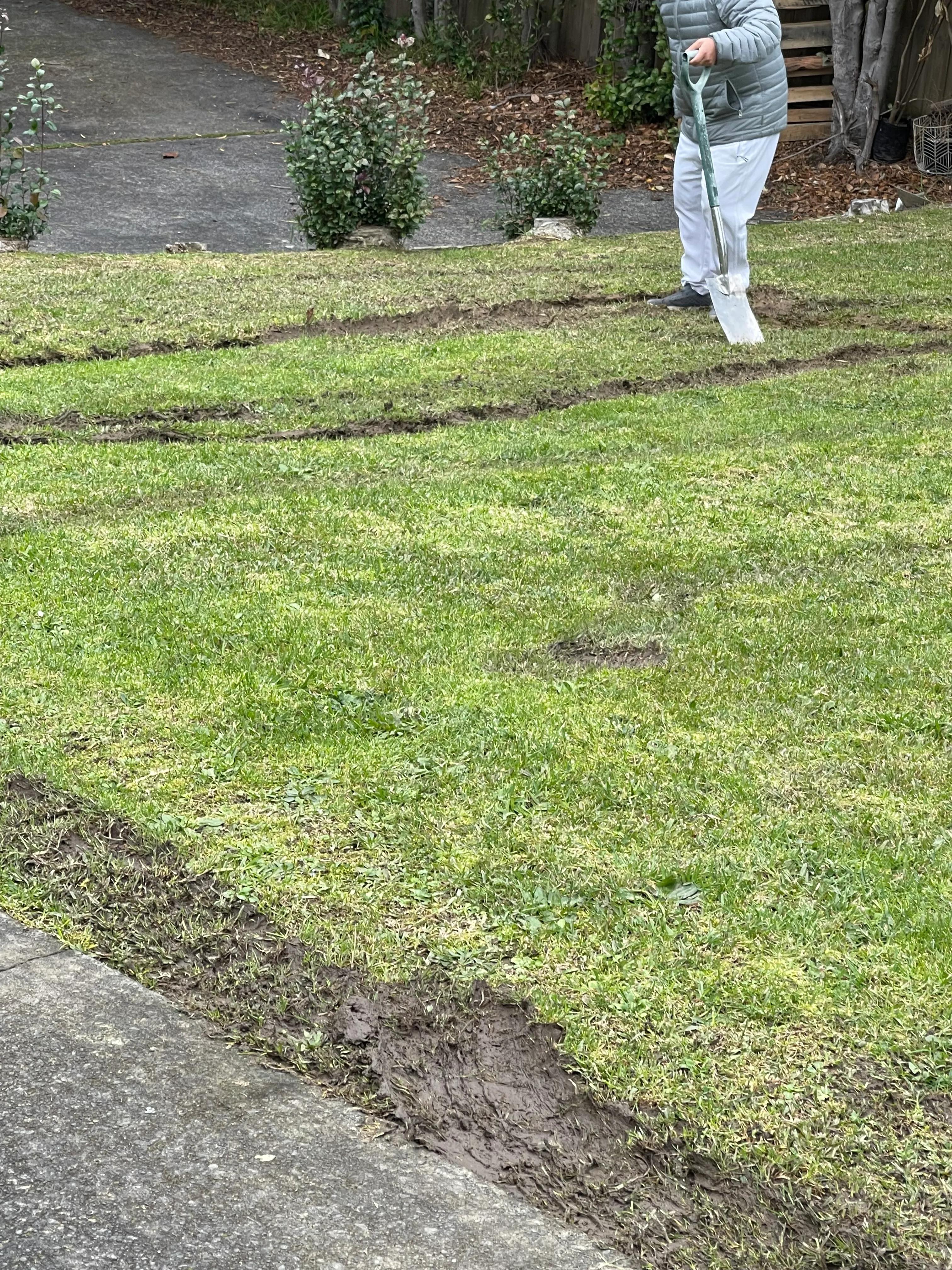 新西兰送外卖条件 (中国人在新西兰送外卖)