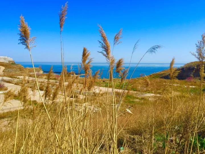 辽宁省高校（三十一）大连医科大学