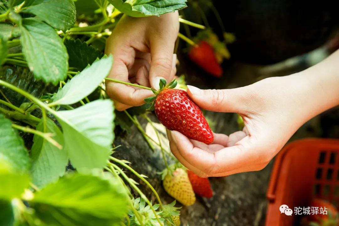 榆林芹河旅游,榆阳区周末游玩推荐