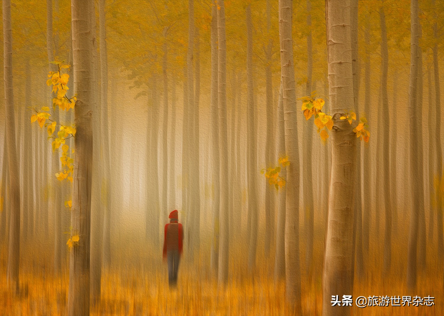 国际女摄影师LydiaJacobs镜头下的油画风格摄影