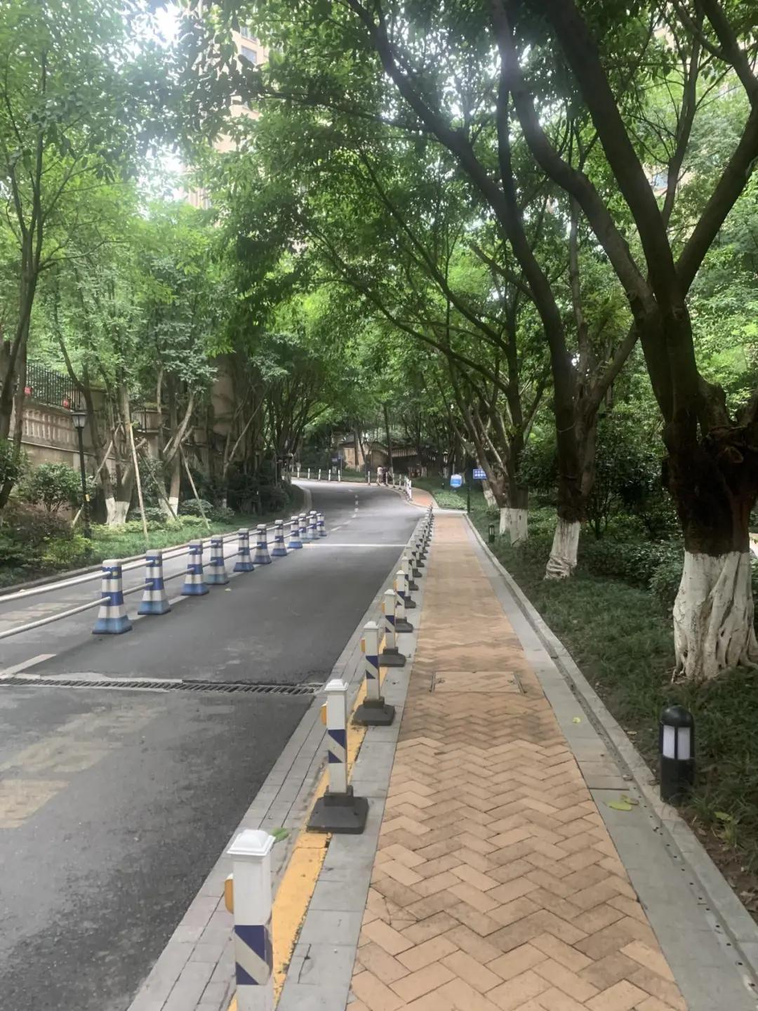 重庆二手房最多小区排名,重庆二手房哪些小区性价比高