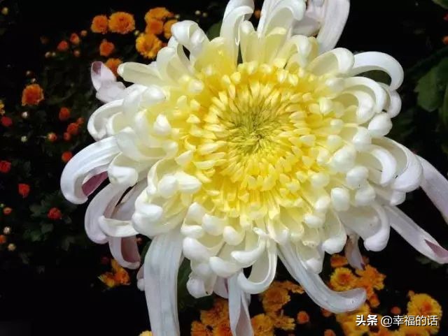 不生气歌儿歌,不生气的消气歌