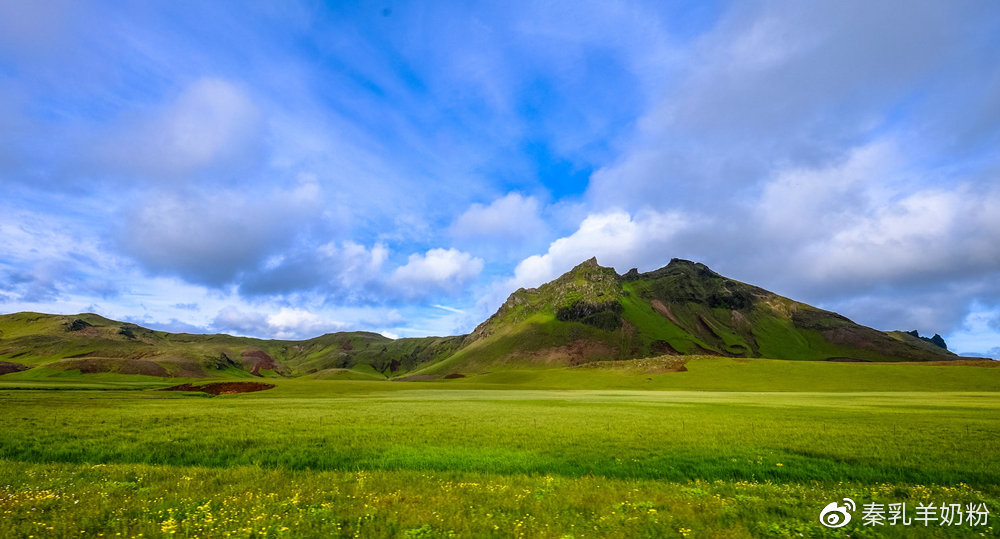 秦乳羊奶粉紫色包装,秦乳羊奶粉是哪出的