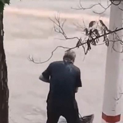 最近几天点赞最高的短视频,全国点赞最高的10个视频