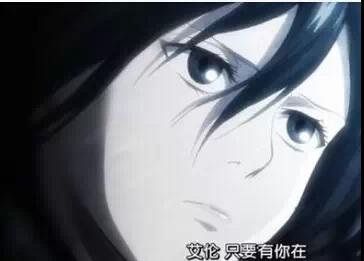 进击的巨人三笠阿尼,进击的巨人三笠结局分析