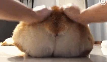 生过娃阴道松弛的症状治疗方法,生孩子了阴道松弛的症状治疗方法