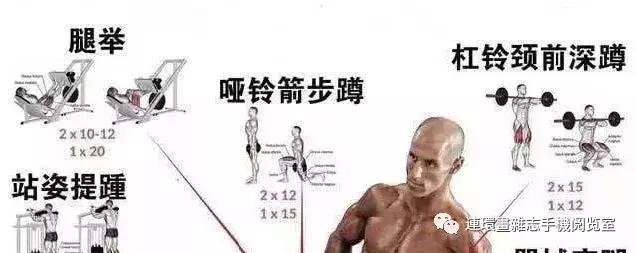 健身看图识物,健身看网上的教学视频