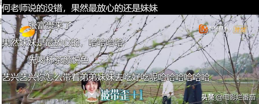 向往的生活收官期待下一季,追完一整部剧为什么越来越困难