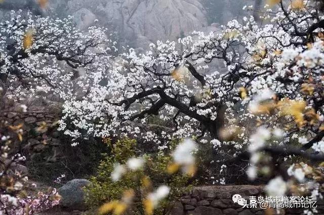 青岛岛城记忆,青岛记忆纪念馆