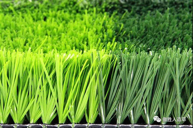 广州洛溪劲超足球场多少钱,番禺洛溪劲超足球场