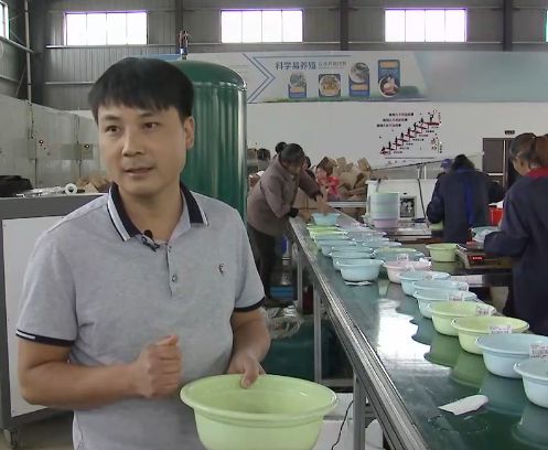 泥鳅养殖致富案例,80后小伙返乡养泥鳅