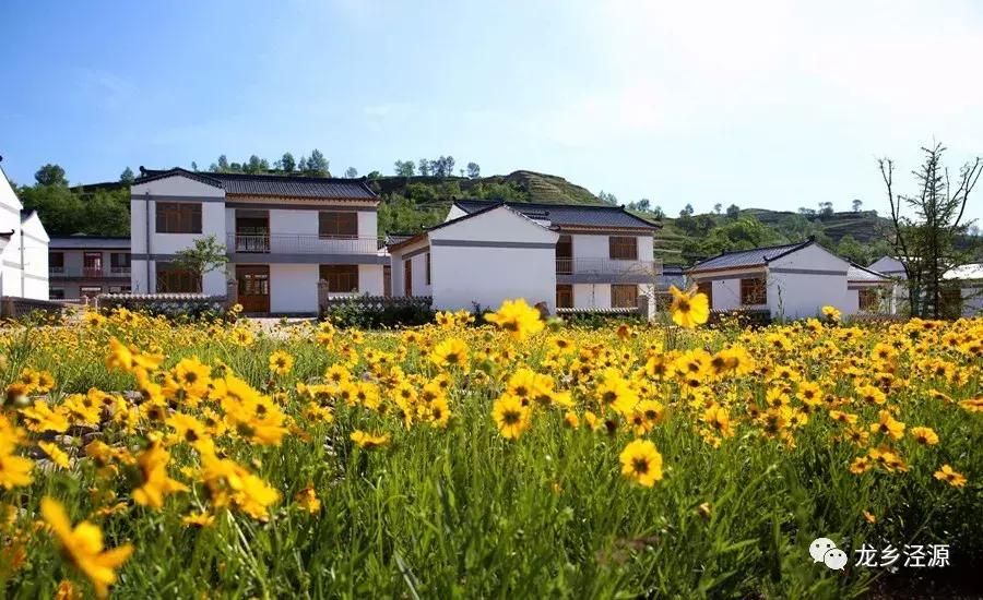 后来的我们，相遇在泾源