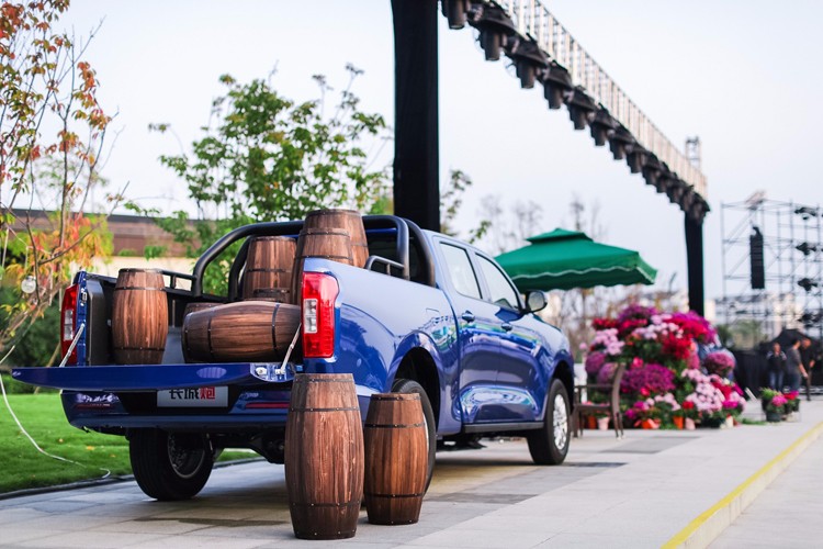 20年长城炮商用版皮卡值得入手吗,皮卡全面解禁