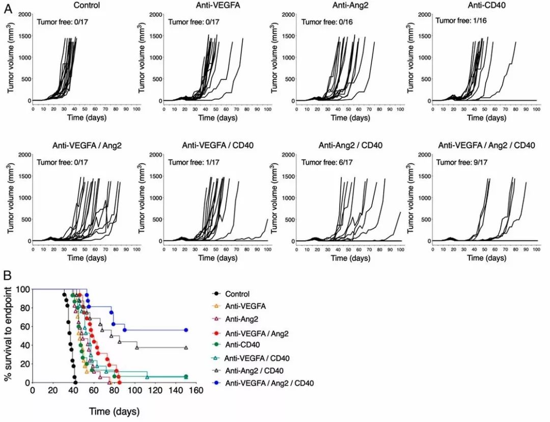 抗血管生成药治癌症有效吗,抗血管生成靶向药效
