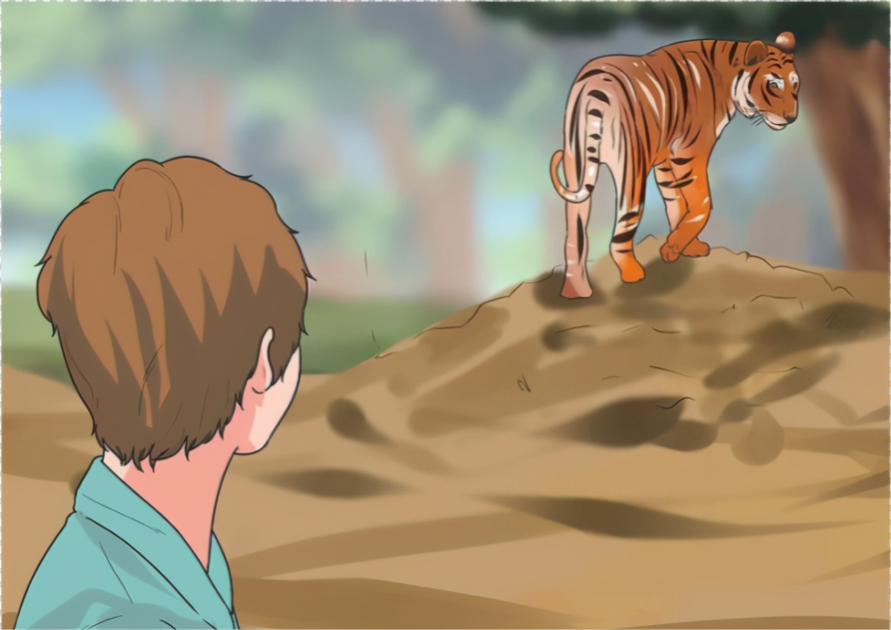 遇见老虎该如何逃生,与老虎狭路相逢怎么办