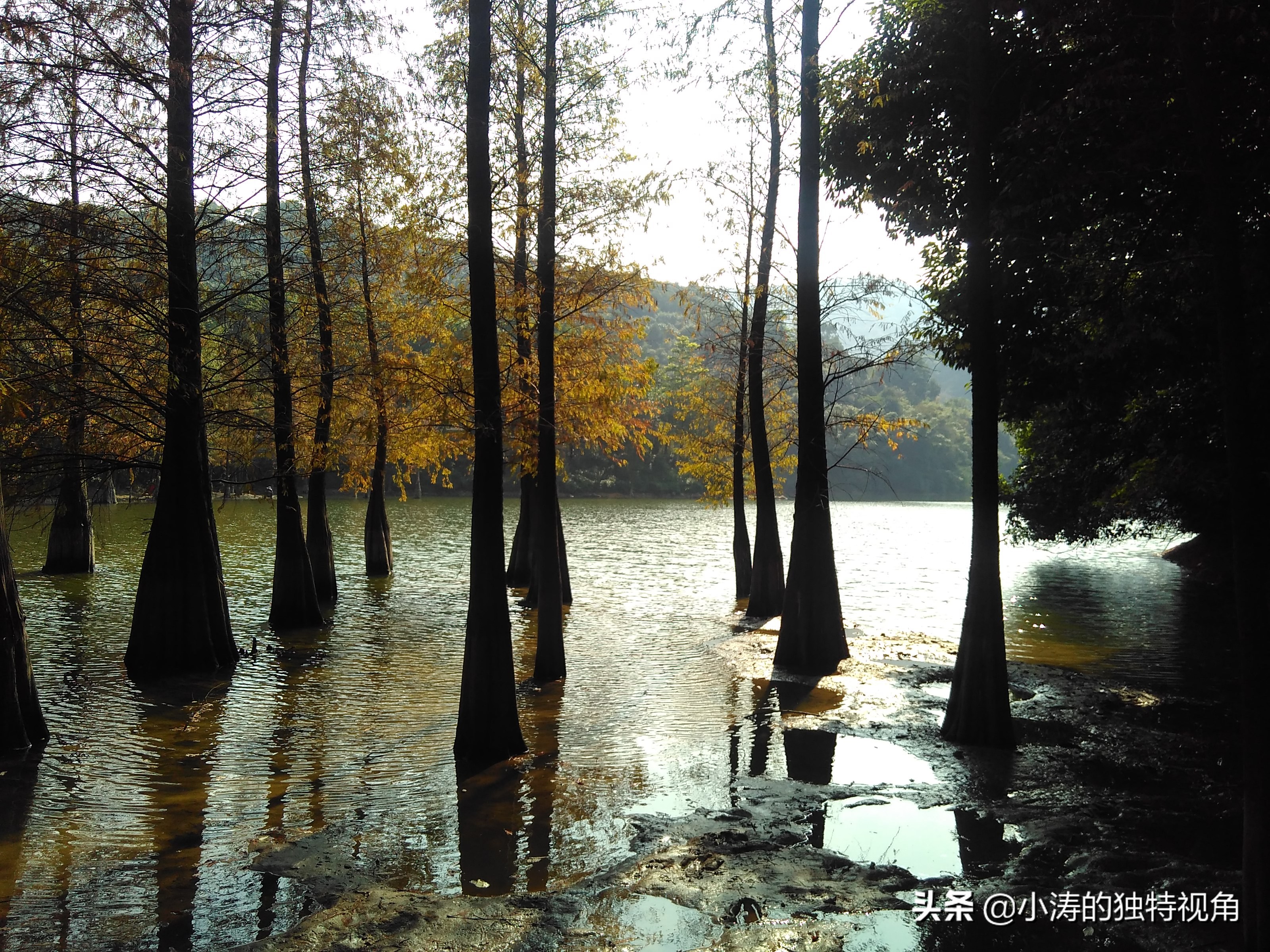 魅力之都,魅力广州活力四射