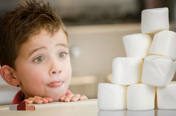 如何提高孩子学习意志力,我的孩子胆小懦弱怎么开导