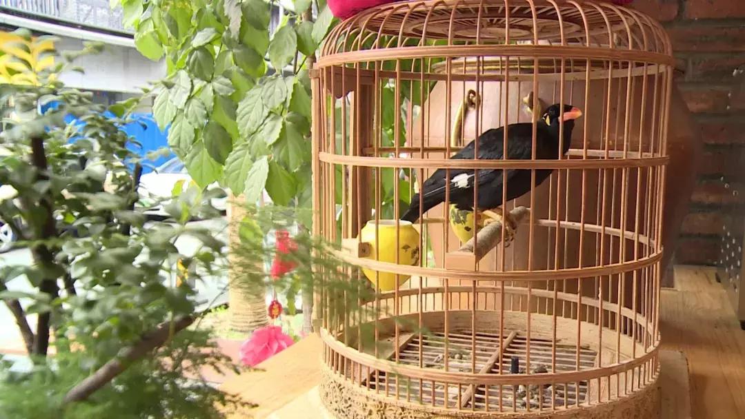 牛灯影私房老火锅成都总部店,牛灯影私房老火锅团购