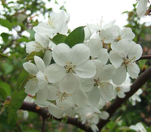 每日一典全文,每日一典