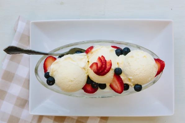 藻类是什么东西,藻类是什么意思