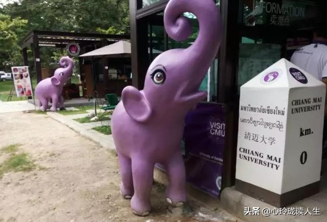 泰国自由行普吉岛,第一次去泰国去清迈还是曼谷