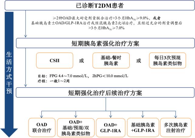 基础胰岛素临床应用专家共识,新发糖尿病胰岛素强化治疗方案