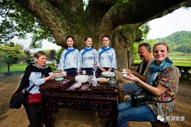 五一去婺源千古茶园,婺源茶文化旅游路线攻略