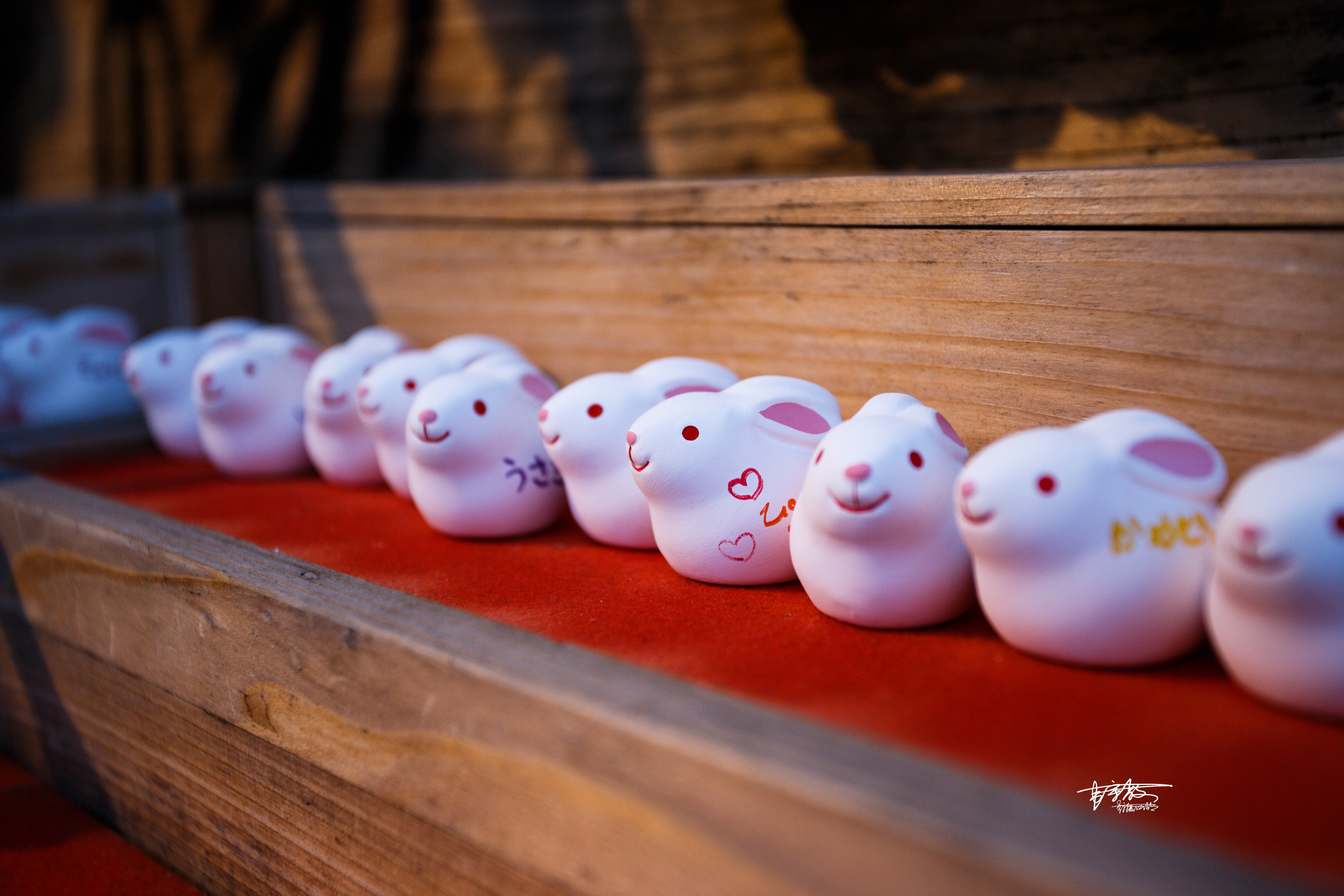 八坂神社和清水寺有何不同,伏见稻田清水寺八坂神社