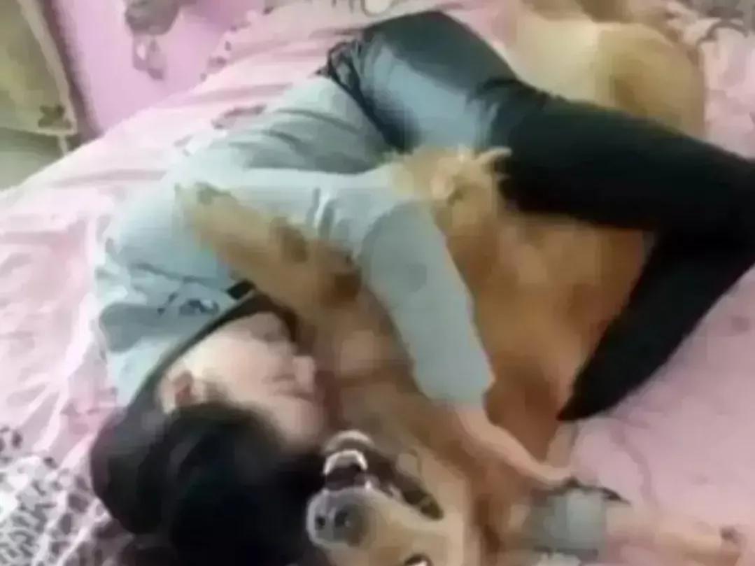 经常跟狗亲密接触能得病吗,人和狗亲密接触会传染细菌吗